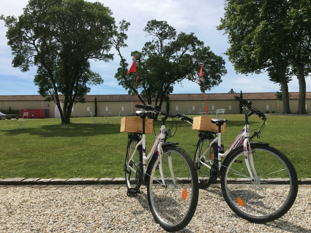 Two bicycles rest on gravel in a tranquil garden scene under clear blue skies, perfect for a peaceful ride.